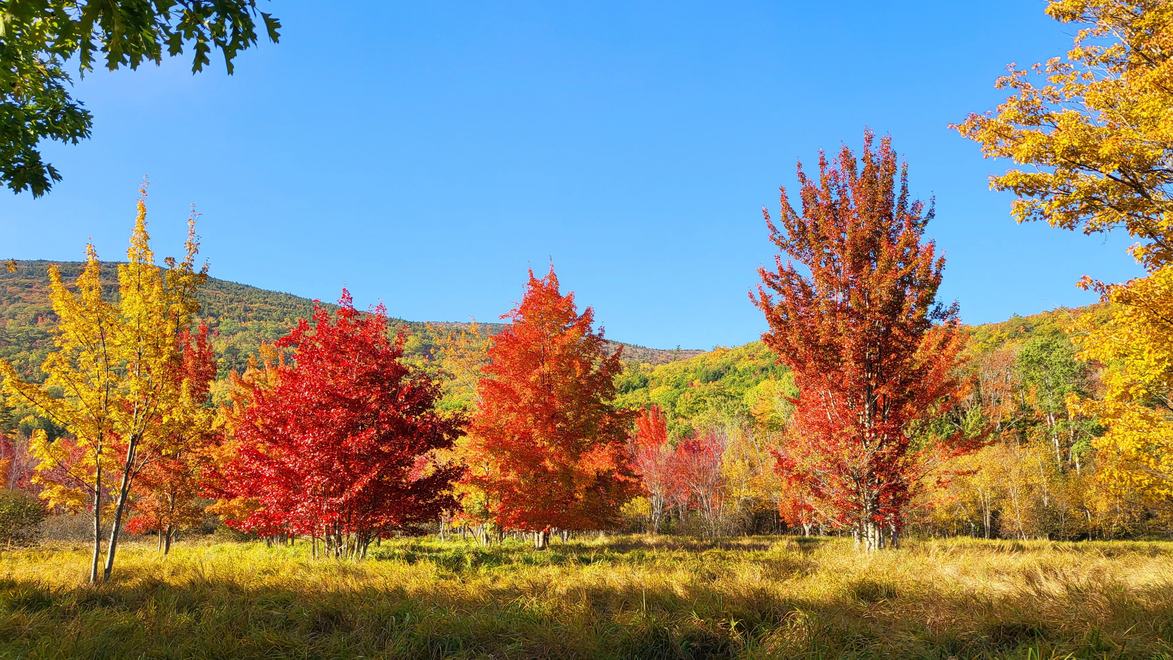 Fall